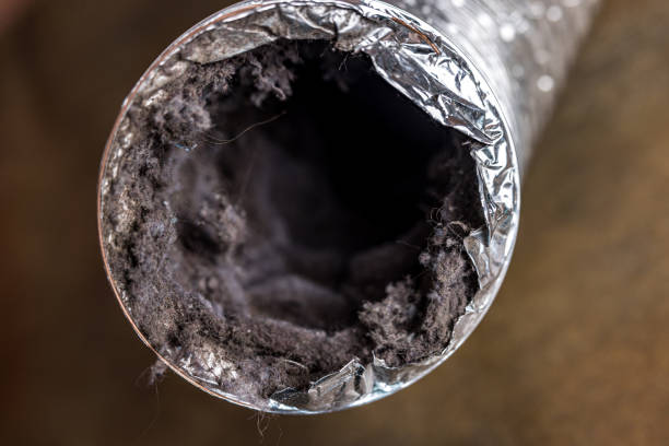 Best HVAC Duct Inspection Services  in Cascade Valley, WA